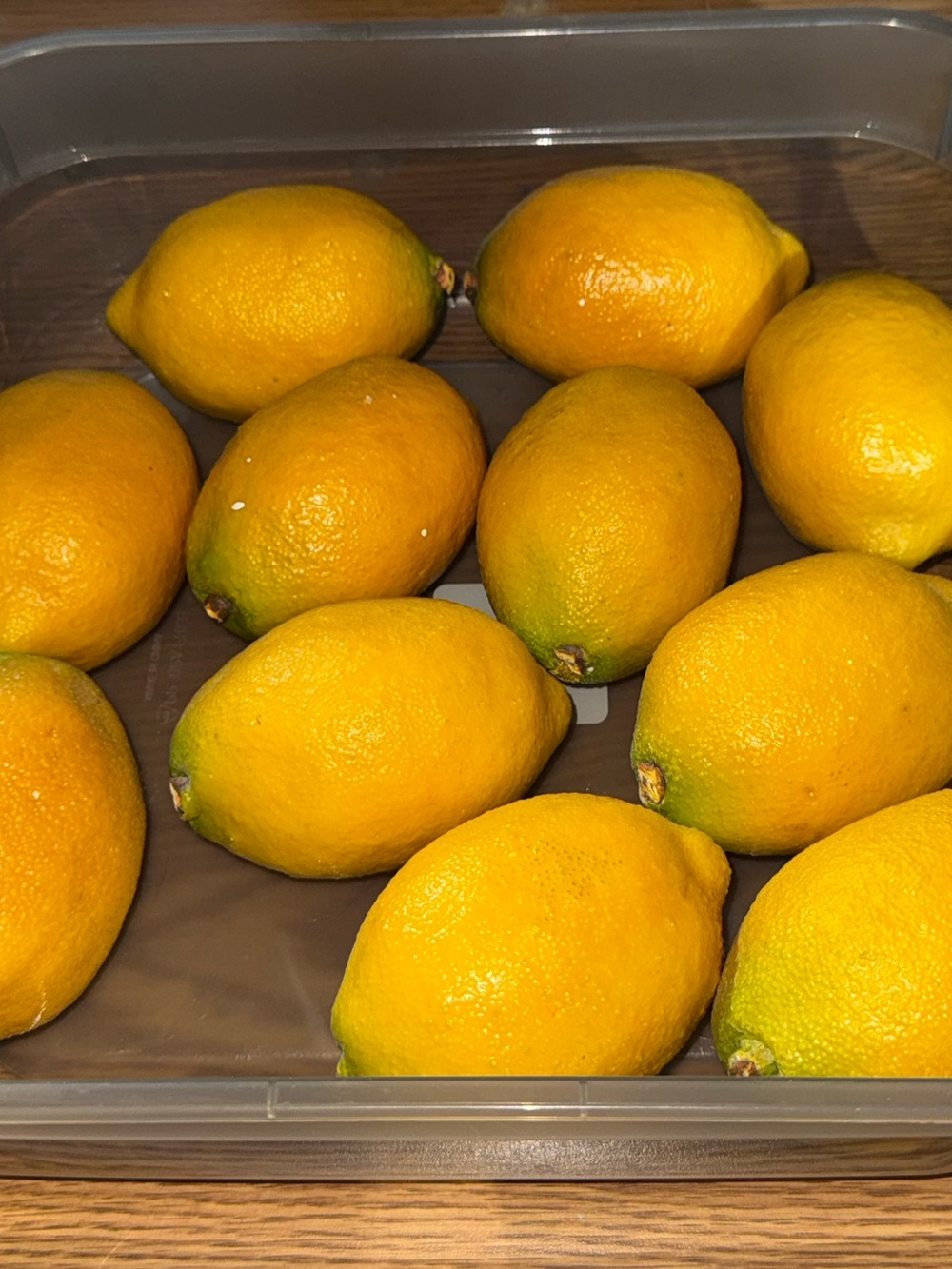 Decorative artificial lemons